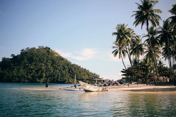 Les compléments alimentaires en fitness : utiles ou superflus ?