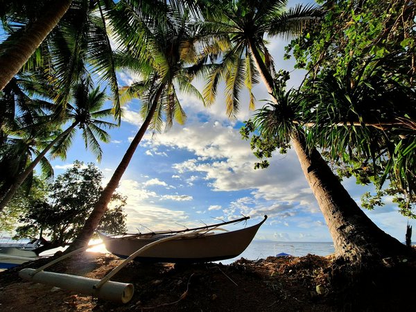La technologie dans la Ligue des champions de basket