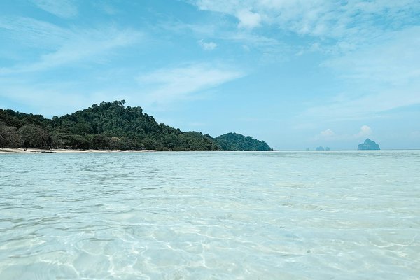 Les selles de vélo pour longues distances : notre Top 5